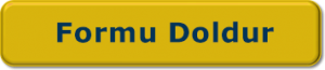 formu-doldur2